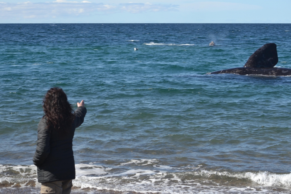 "Caminando con ballenas" de Silvana Garat
