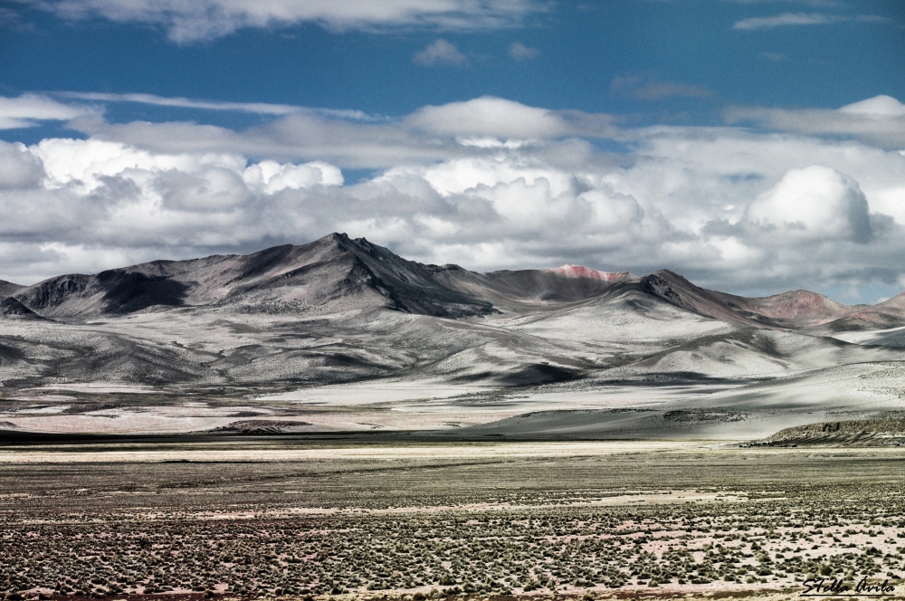 "Atacama III" de Stella Avila