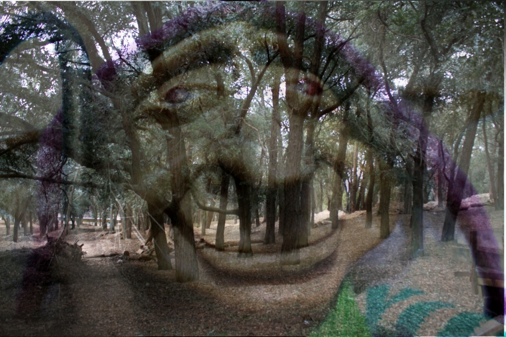 "Bosque Encantado..." de Eduardo Rene Cappanari