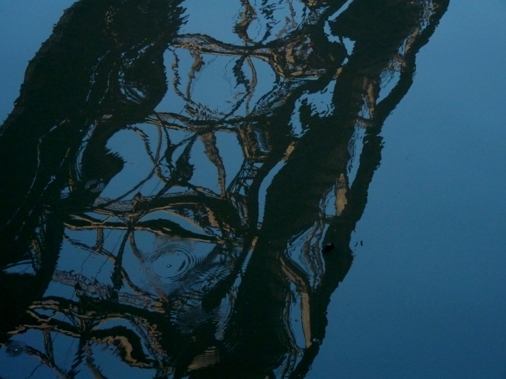 "mi cadena de ADN (Pinturas al agua II)" de Marisol Salvador