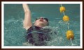Serie - natacion - ESPALDA