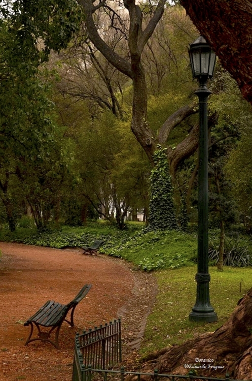 "Botanico" de Eduardo A. Fraguas