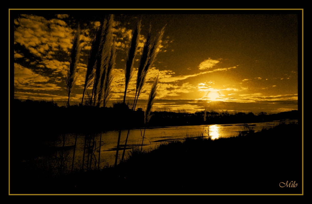 "`golden sunset...`" de Emilio Casas (milo)