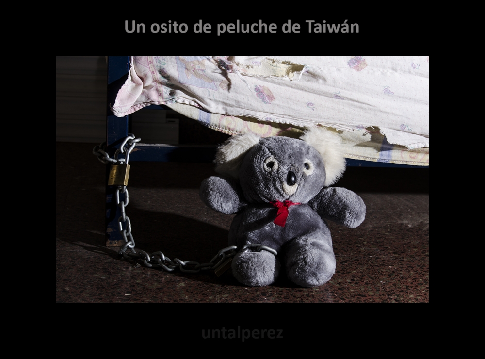 "Un osito de peluche de Taiwn" de Daniel Prez Kchmeister