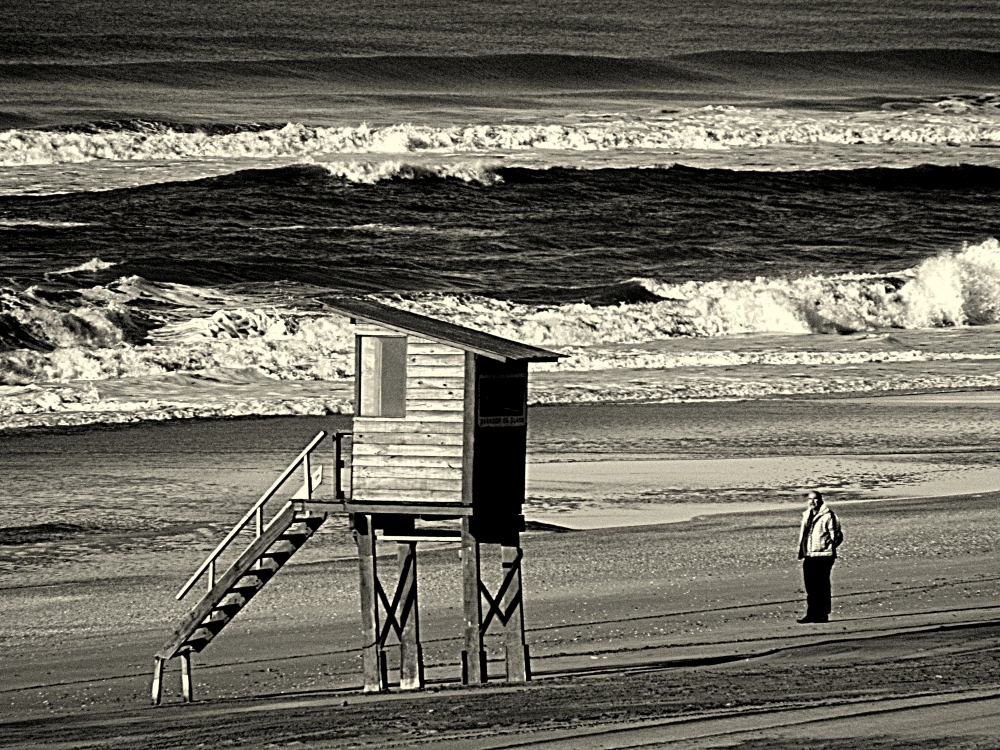 "frente al mar" de Viviana Garca