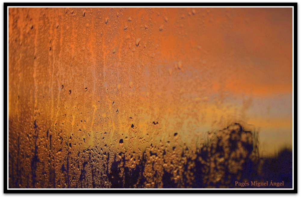 "Sobre un vidrio mojado" de Miguel Angel Pags