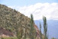paisajes de mi provincia de Mendoza.-