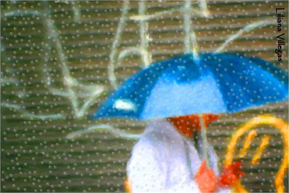 "Rain" de Liliana Villegas