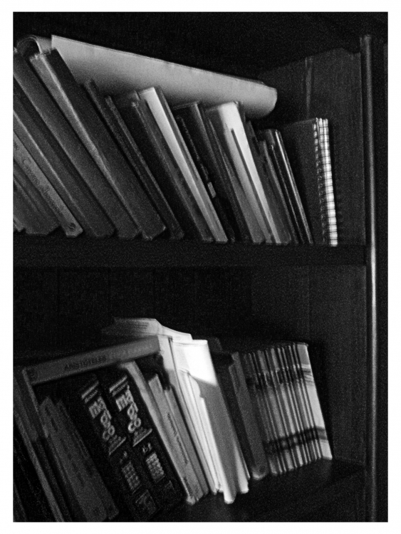 "Librero" de Nora Lilian Iturbide ( Noral )