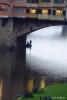 reflejos en el Arno