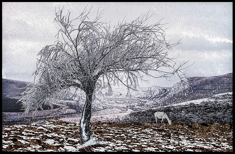 "Invernal" de Daniel Rodolfo Avila
