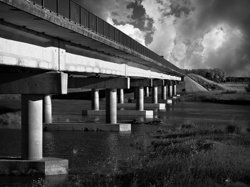 "Bajo el puente" de Fernando Valdez Vazquez