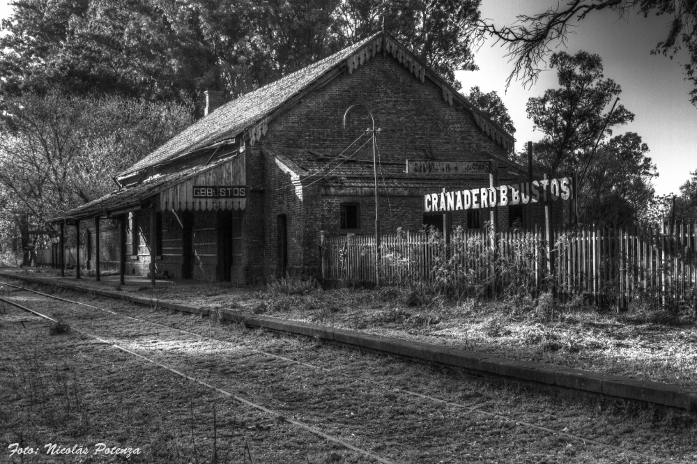 "Granadero Abandonado" de Nicols Potenza