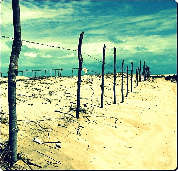"Camino a la playa" de Valeria Montrfano
