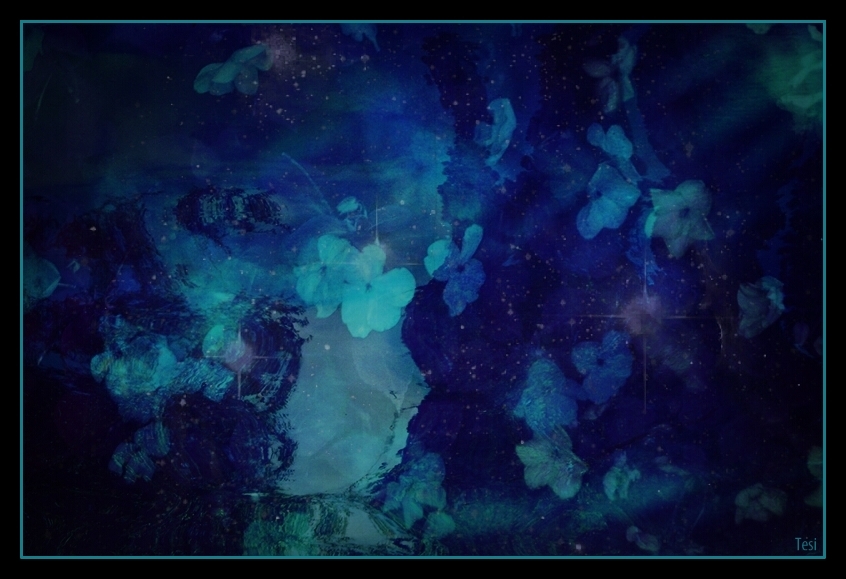"Constelacin de flores" de Tesi Salado