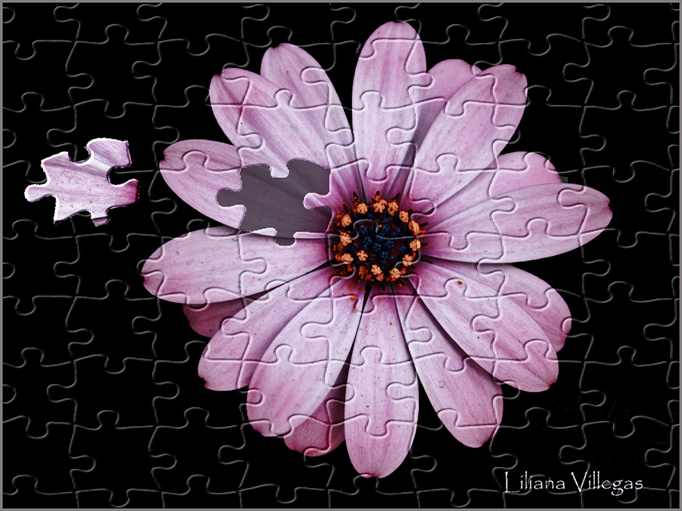 "Puzzle" de Liliana Villegas