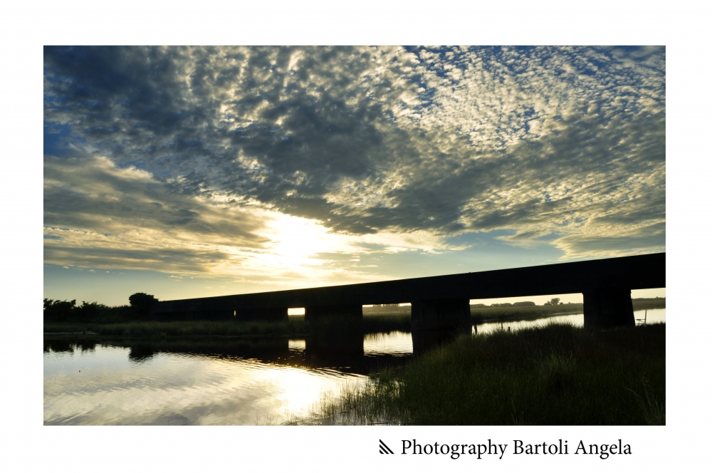 "El Puente" de Angela R. Bartoli