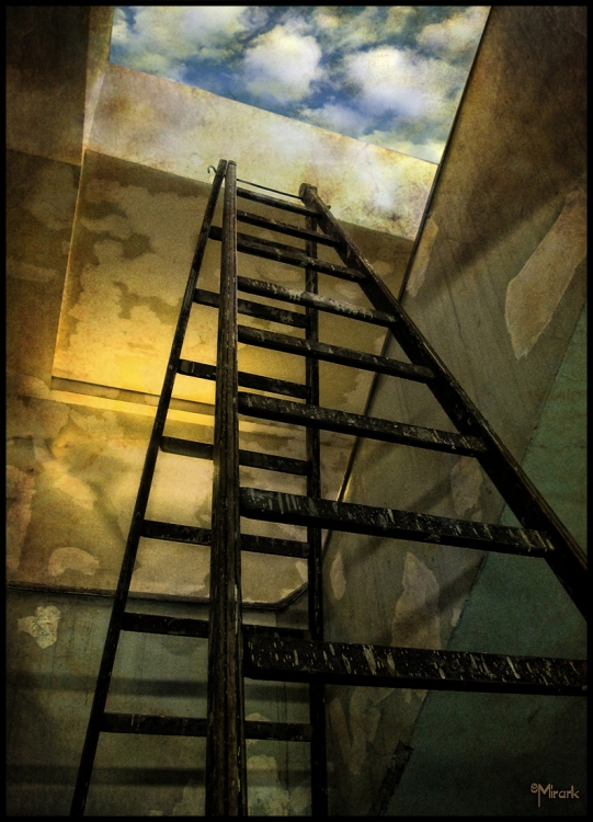"Escalera al cielo" de Mirta Steinberg