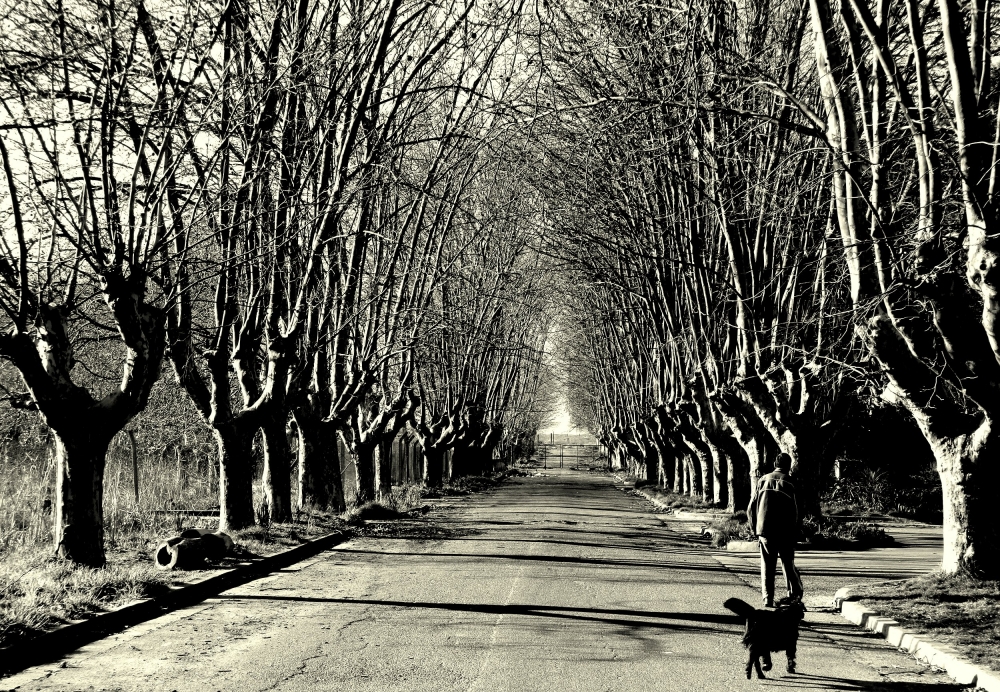 "invierno, hombre y perro" de Viviana Garca