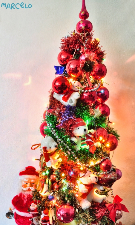 "christmas tree" de Marcelo Alejandro Macaroni
