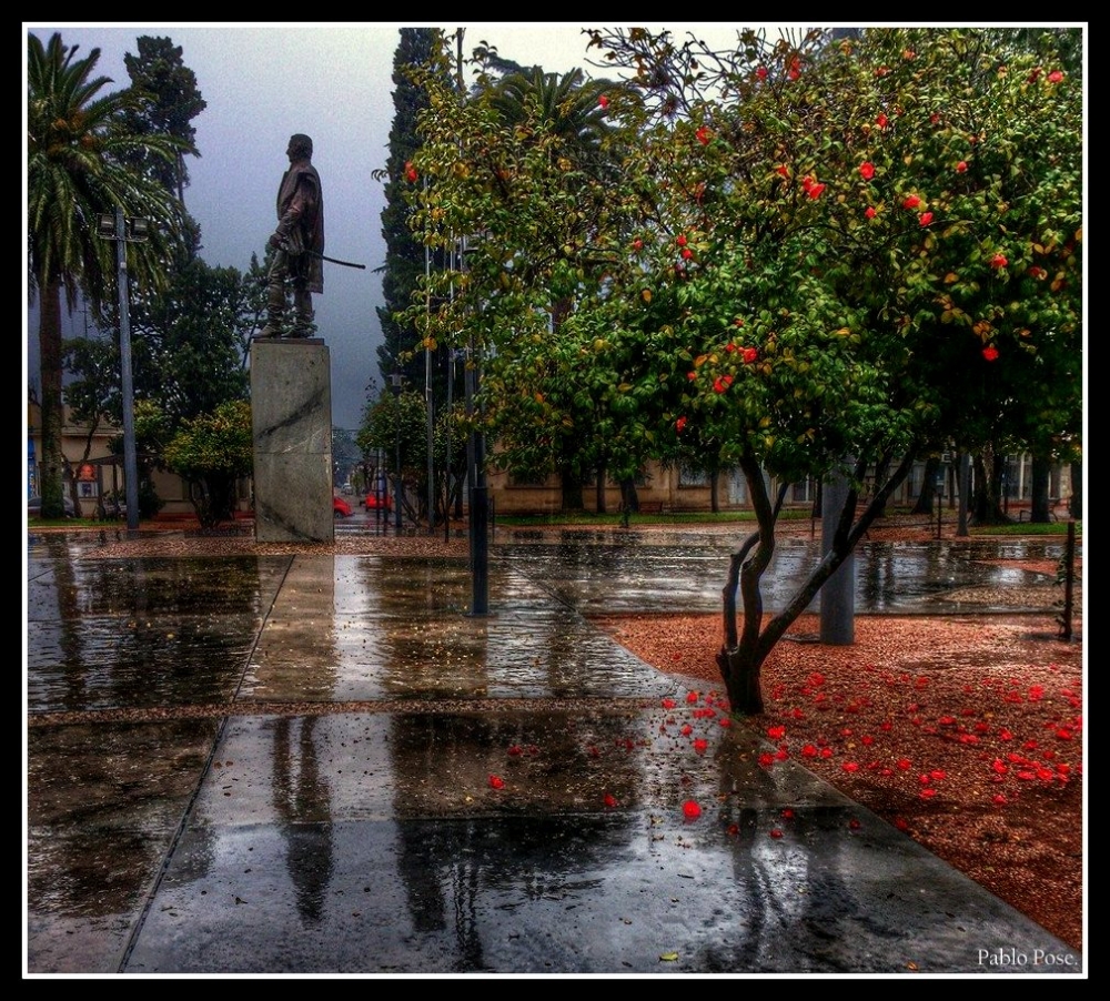 "Un da de lluvia en la plaza..." de Pablo Pose