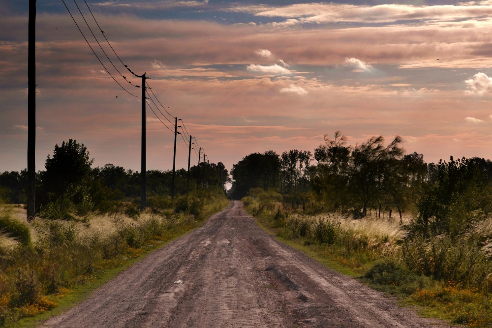 "Camino rural" de Silvana Garat