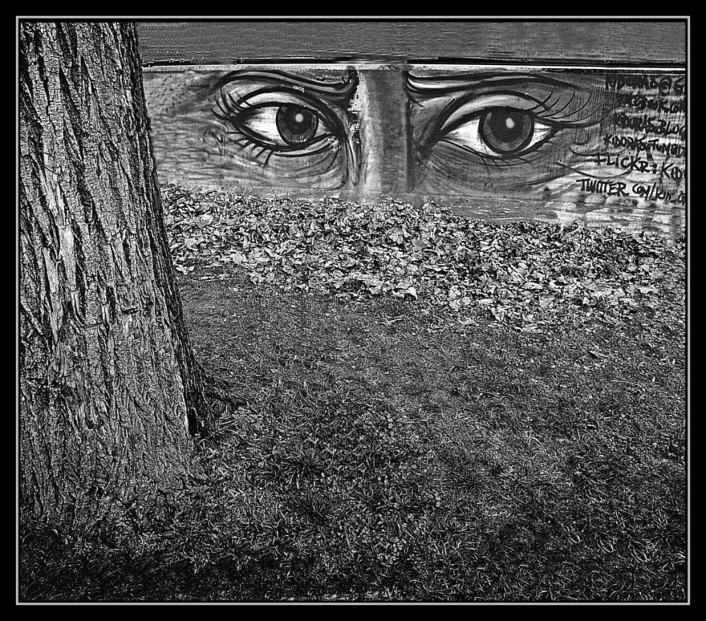 "`Los ojos en que te miras son ojos porque te ven`" de Anibal Roberto Uslenghi