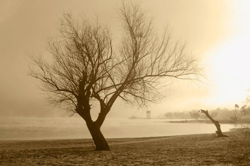 "Amanecer neblinoso" de Ricardo H. Molinelli