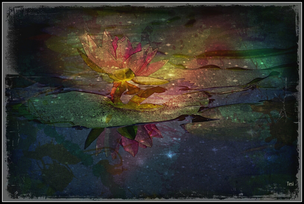 "Constelacin de Flores 2" de Tesi Salado