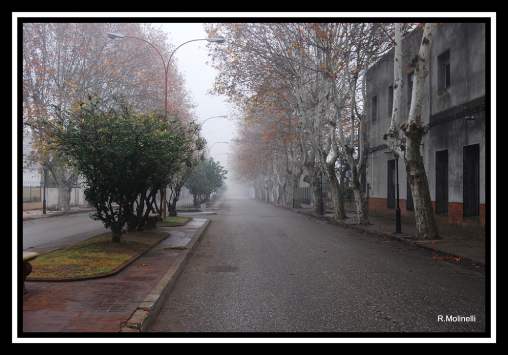 "Niebla en la Avenida" de Ricardo H. Molinelli