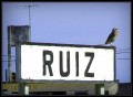 Villa Ruiz: con Z de LechuZa ...