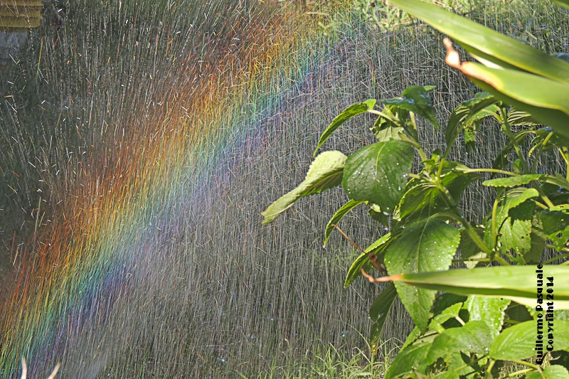 "arco iris" de Guillermo Daniel Pasquale