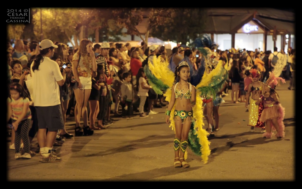 "Carnaval 2014" de Csar Hernn Cassina