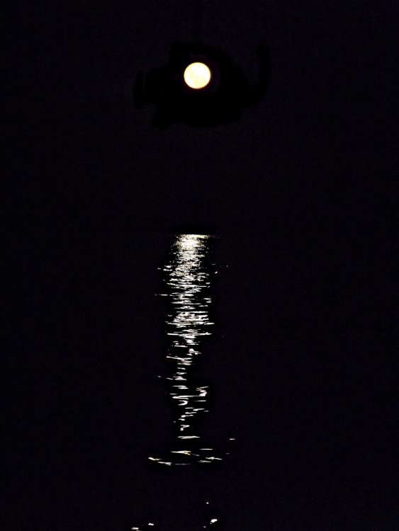 "La luna de Coln..." de Juan Menoni