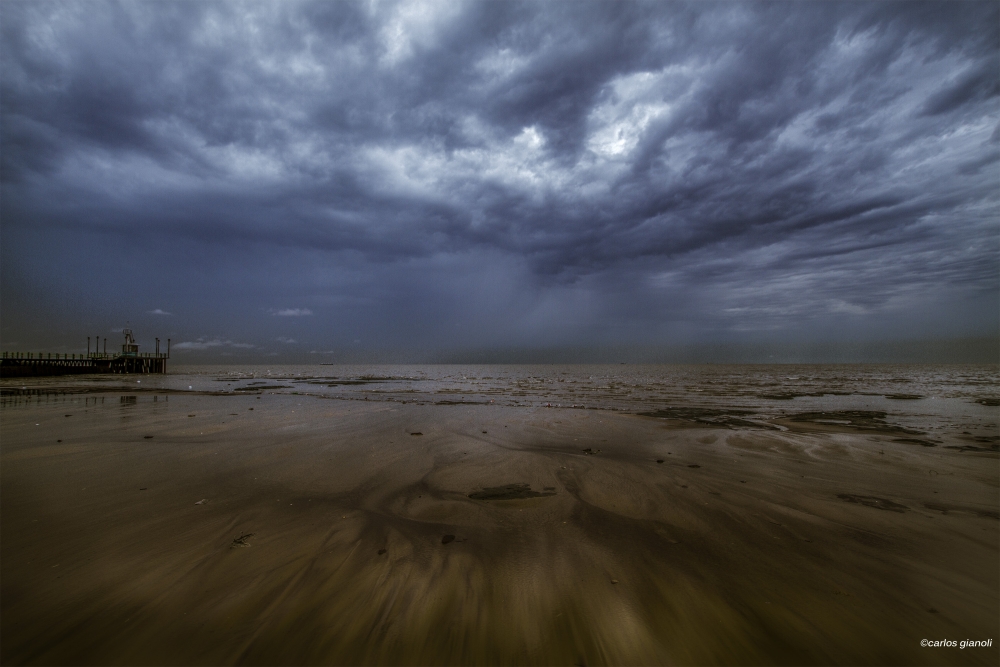"La tormenta antes de la calma" de Carlos Gianoli