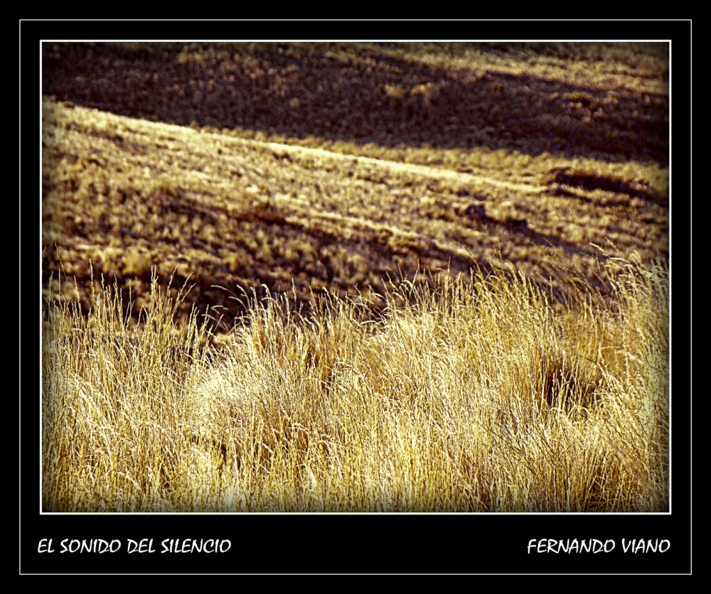 "El sonido del silencio" de Fernando Viano