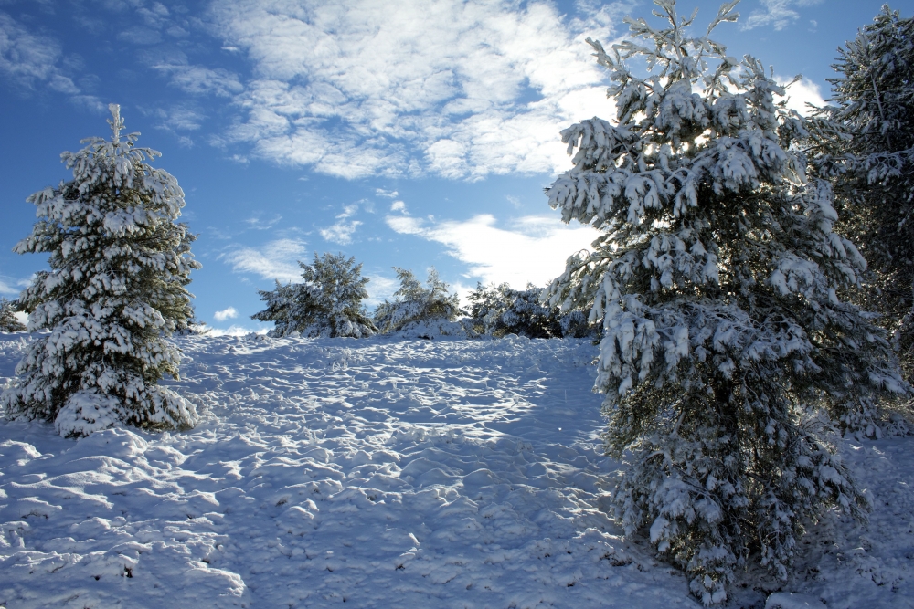 "da de nieve en los montes de burgos" de Juan Carlos Martn