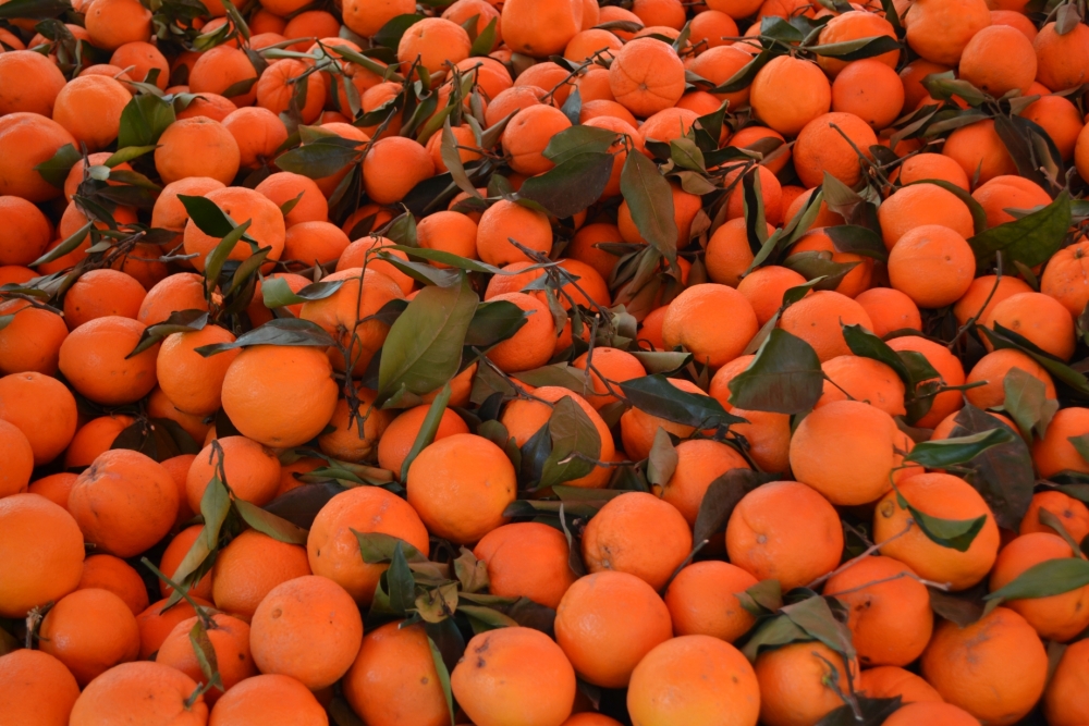 "Naranjas de la feria" de Carlos D. Cristina Miguel