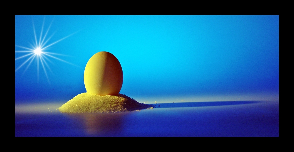 "La era del huevo" de Martin Salas Braconi