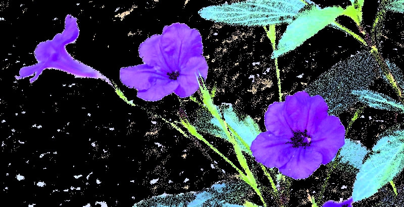 "Flores azules." de Felipe Martnez Prez