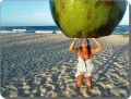 El coco gigante