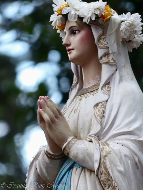 "Virgen de Lourdes" de Ivanna Ruiz Molina