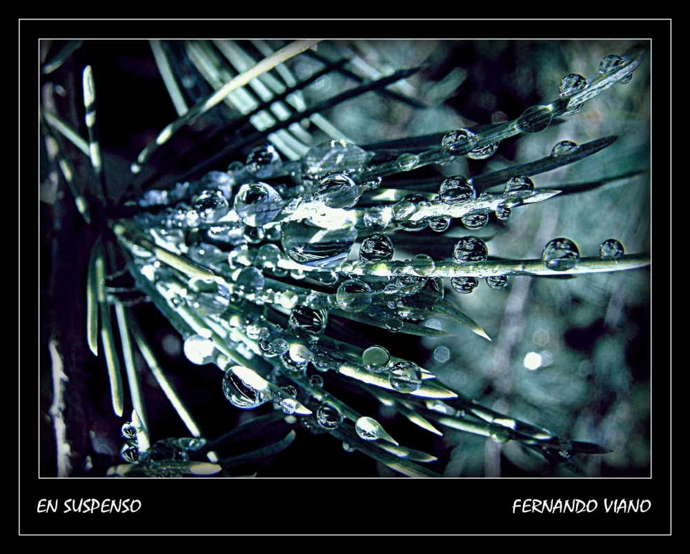 "En suspenso" de Fernando Viano