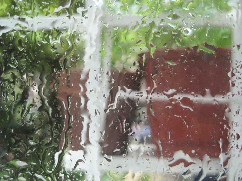 "lluve y llueve y ..." de Alicia Tiziano