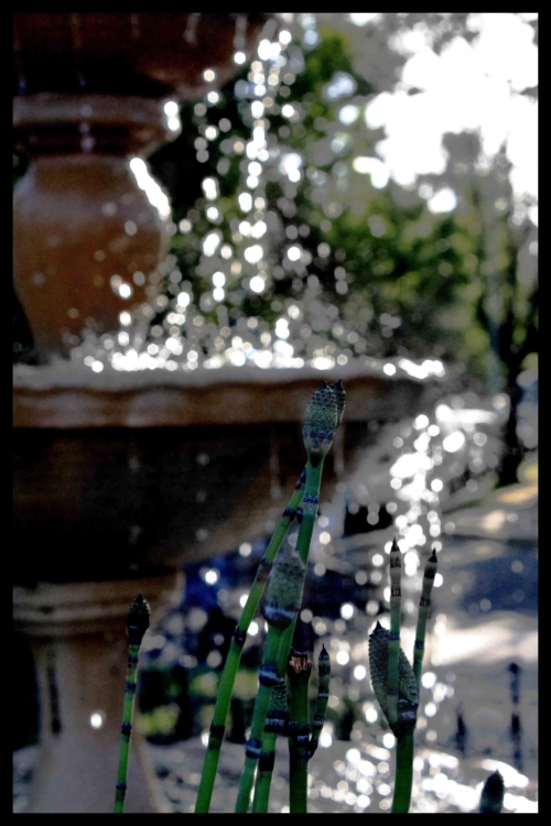 "Gotas refrescantes............." de Hernn Gonzlez Crapanzano