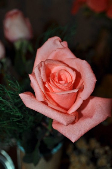 "Rosa rosa...." de Silvia Emilia Guerra