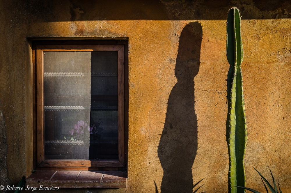 "Ventana y cactus" de Roberto Jorge Escudero