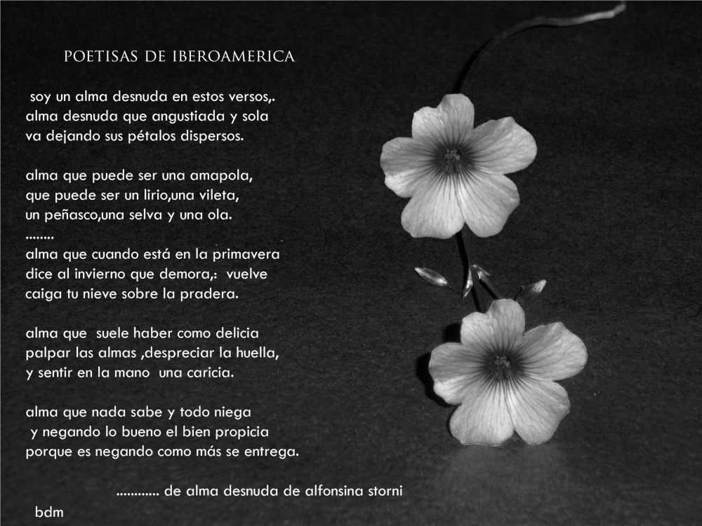"2i de marzo dia de la poesia" de Beatriz Di Marzio