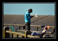 Pesca y compaa