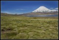 Volcan Parinacota al leo